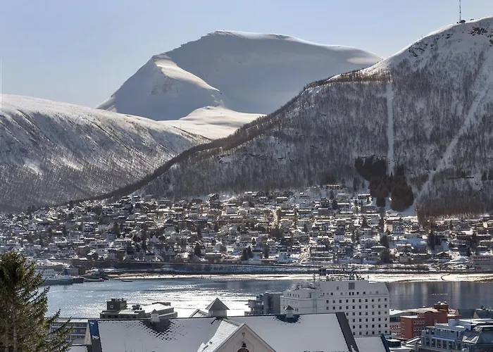 Cozy Loft With Amazing View *